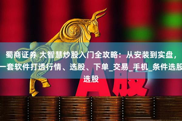 蜀商证券 大智慧炒股入门全攻略：从安装到实盘，一套软件打透行情、选股、下单_交易_手机_条件选股