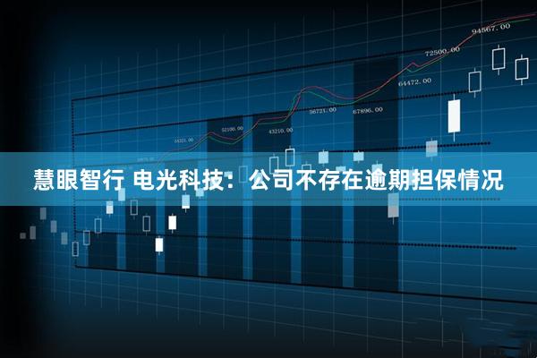 慧眼智行 电光科技：公司不存在逾期担保情况