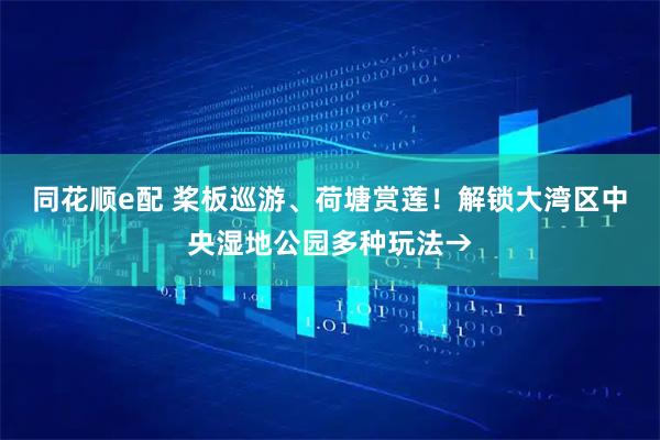同花顺e配 桨板巡游、荷塘赏莲！解锁大湾区中央湿地公园多种玩法→